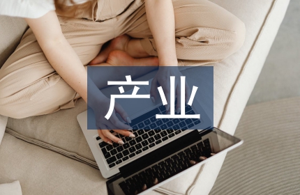 产业调研报告