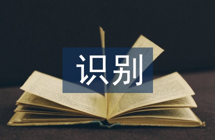 识别技术论文