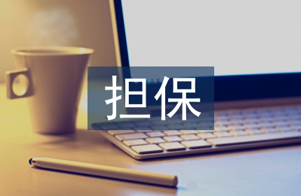 小微企业融资担保存在的问题及对策