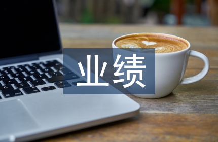 财务总监业绩总结
