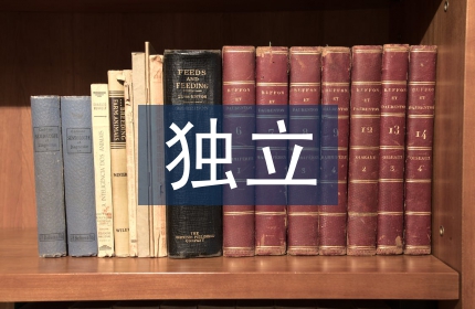 独立能力的培养