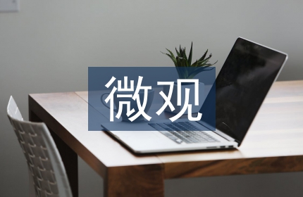 简述微观经济学的概念