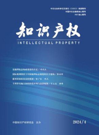 知识产权