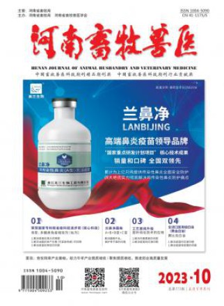 河南畜牧兽医