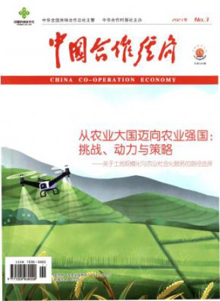 中国合作经济