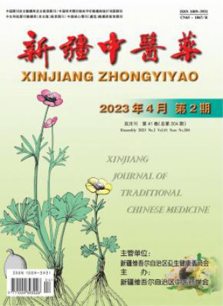 新疆中医药