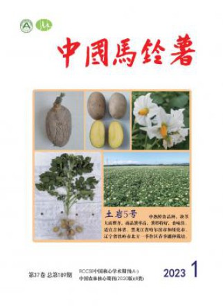 中国马铃薯