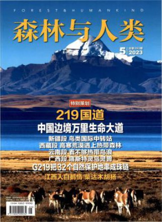森林与人类