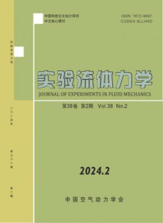 实验流体力学