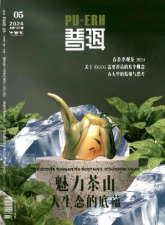 普洱