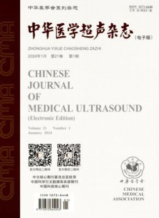 中华医学超声