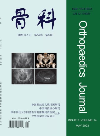 武汉医学