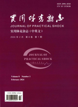 实用休克