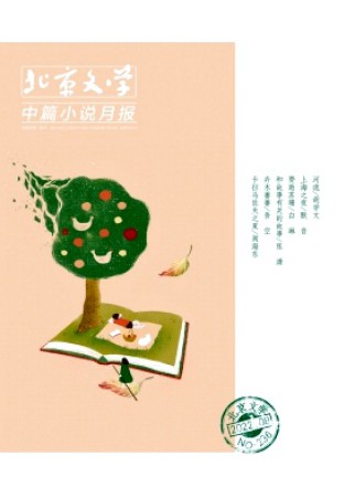 北京文学·中篇小说月报
