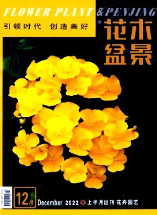 花木盆景·花卉园艺