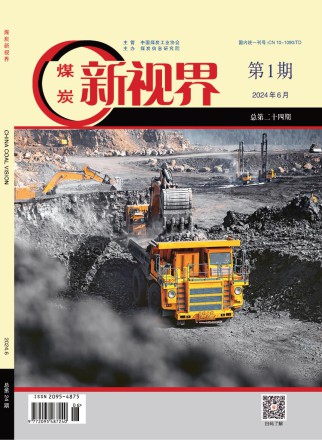 煤炭新视界