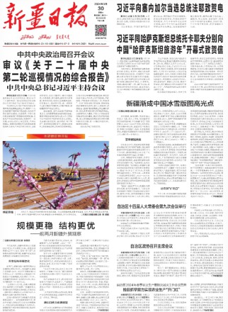 新疆日报(汉)