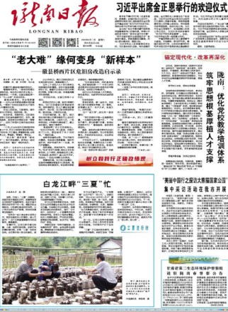 陇南日报